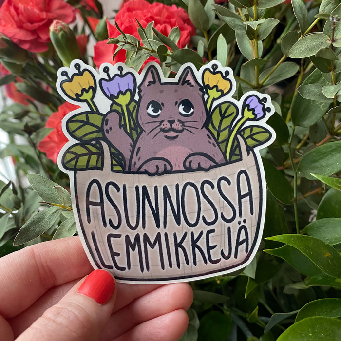 Asunnossa lemmikkejä, kisu