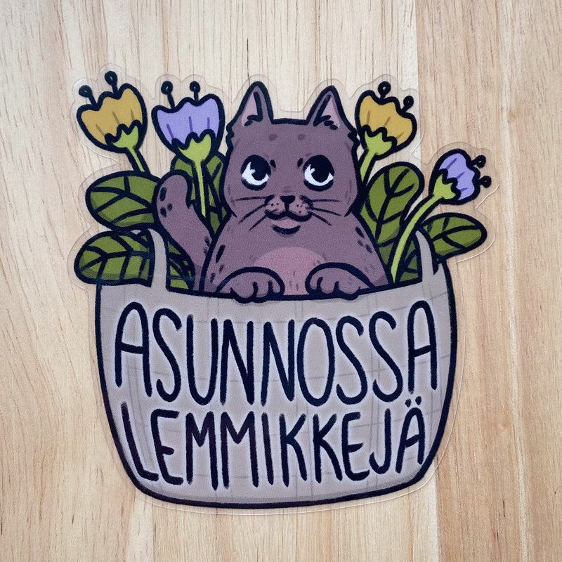 Asunnossa lemmikkejä, kisu